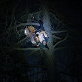 Night of The Jick Beast