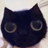 Avatar for DaniCatGames