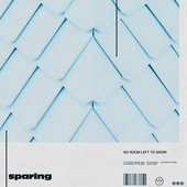 No Room Left to Grow - EP