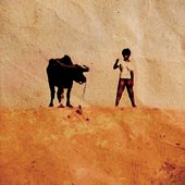 Plains Crashing Westward