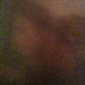Avatar for feeedyourhead