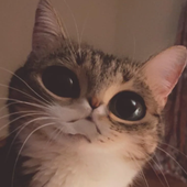 Avatar for biixie