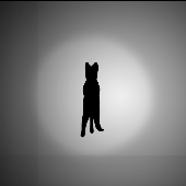 Avatar for Belk_ml