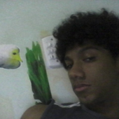Avatar de Ladislau_Neto