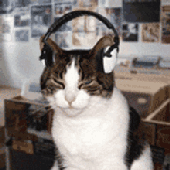 Avatar for DSMusicM