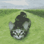 Avatar for dearwilson
