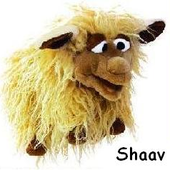 Avatar de Super_shaav