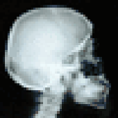 Avatar for largado