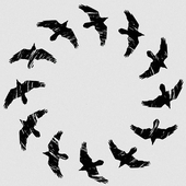 Avatar for Achrophyta