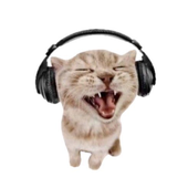 Avatar for neveermindz