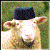 Аватар для Sheep319