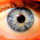 Avatar di eyeholeman