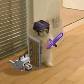Avatar for Imslipfy