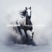 I Love You, Goodbye