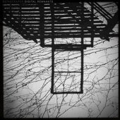 Digital Remnants