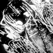 Avatar for SevenDeviations