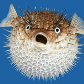 Avatar for VaporCycle