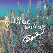 white spring