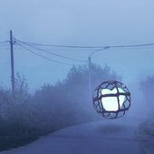 Trapped in a Reality Cage