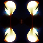 Avatar di starlessiii