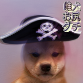 Avatar for fat_doggo