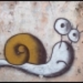 Avatar for ollka