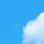 visuals-001322068707-ICCyAI-original.jpg