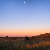 Analog Summer - Single