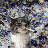 Avatar für Ghost_Collision