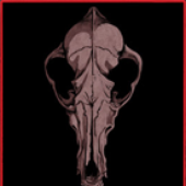 Avatar for MylesFM