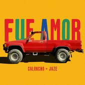 Fue Amor