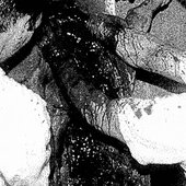 Post Mortem Convulsion