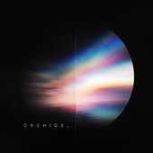 Orchids - Single