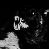 Avatar di retroslasher