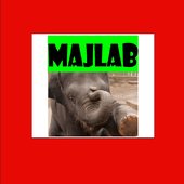 MajLab More