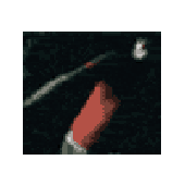 Avatar for MoshLoverXXX