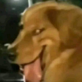 Awatar dla Natzl