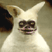 Avatar for krissekrisse