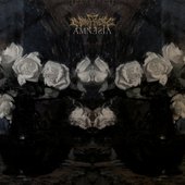 Amnesia