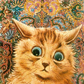 Avatar for koudelkasan
