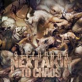 Next Akin to Chaos