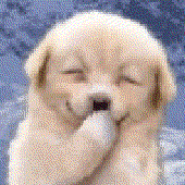 Avatar for Cidwulfus