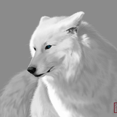 Avatar for Starfrag