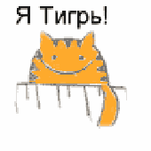 Avatar für K000t
