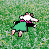 Avatar di ralseinurture