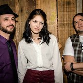 Hard Blues Trio 2016