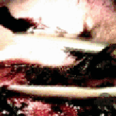 Avatar for Cradle2003