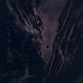 Cynism
