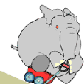 Avatar for schnuffi12