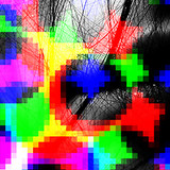 Avatar for dragi235